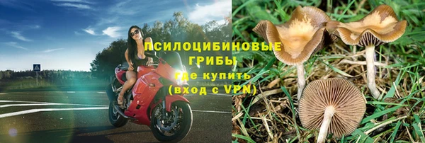мяу мяу мука Навашино
