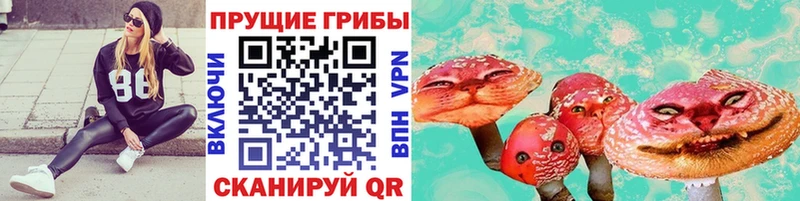 Галлюциногенные грибы GOLDEN TEACHER  хочу   Псков 