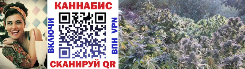 Каннабис план Псков